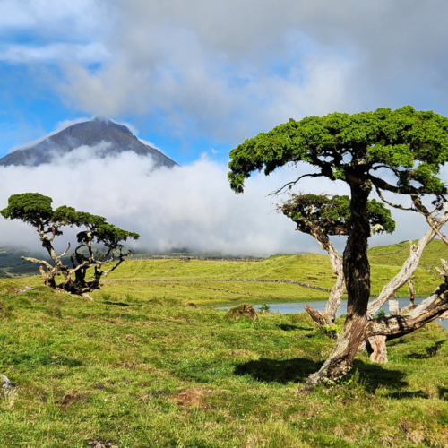 Açores Pico Lagoa Capitão Açores Pico Lagoa Capitão