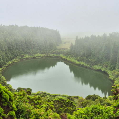 Açores Pico Lagoa Secca Açores Pico Lagoa Secca