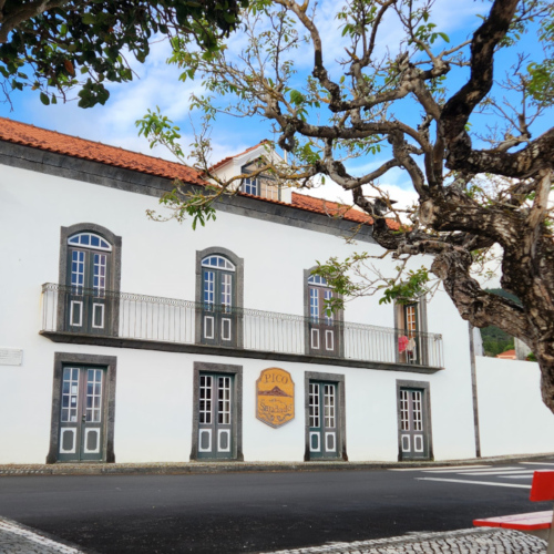 Açores Pico Saudade Açores Pico Saudade