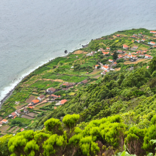 Açores São Jorge Fajã do João Açores São Jorge Fajã do João