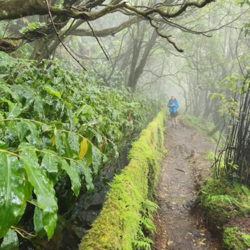 Les Açores São Miguel Lagoa do Fogo Les Açores São Miguel Lagoa do Fogo