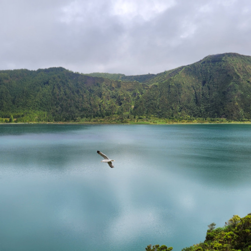 Les Açores São Miguel Lagoa do Fogo Les Açores São Miguel Lagoa do Fogo