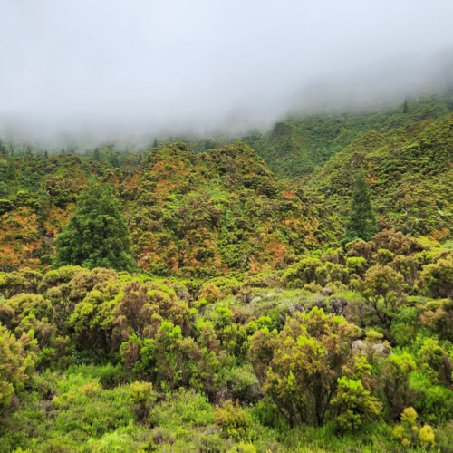 Les Açores São Miguel Lagoa do Fogo Les Açores São Miguel Lagoa do Fogo