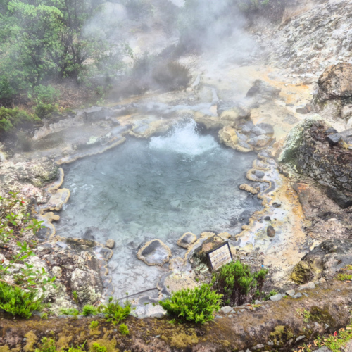 Les Açores São Miguel les solfatares de furnas Les Açores São Miguel les solfatares de furnas