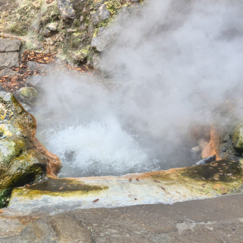 Les Açores São Miguel les solfatares de furnas Les Açores São Miguel les solfatares de furnas