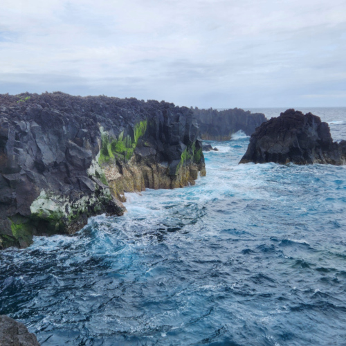 Les Açores São Miguel. Coulée basaltique. Les Açores São Miguel