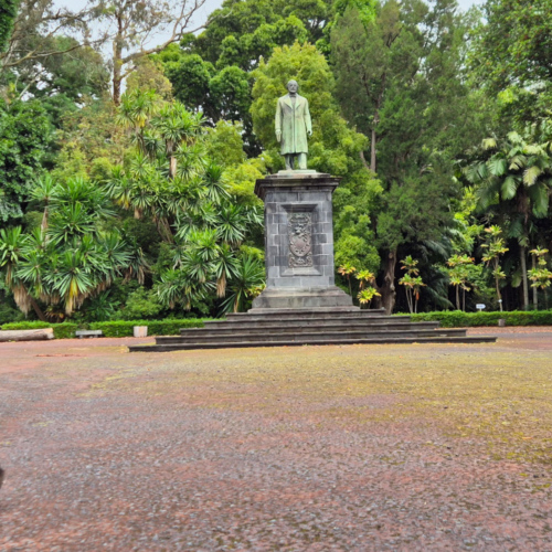 Les Açores São Miguel Ponta Delgada. Jardín Botánico José do Canto. Les Açores São Miguel Ponta Delgada