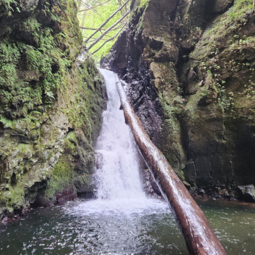 Les Açores São Miguel Salto Carragão Les Açores São Miguel Salto Carragão