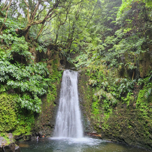 Les Açores São Miguel Salto Prego Les Açores São Miguel Salto Prego
