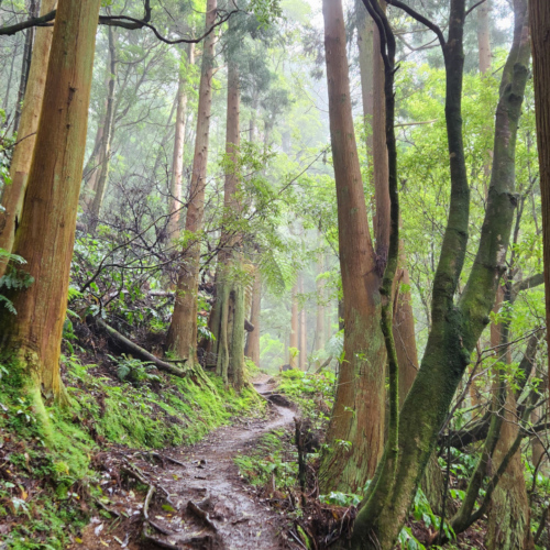 Les Açores São Miguel Salto Prego Salto Carragão Les Açores São Miguel Salto Prego Salto Carragão