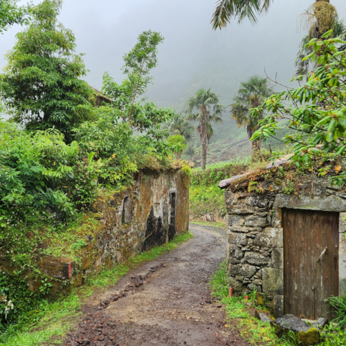 Les Açores São Miguel Sanguinha Les Açores São Miguel Sanguinha