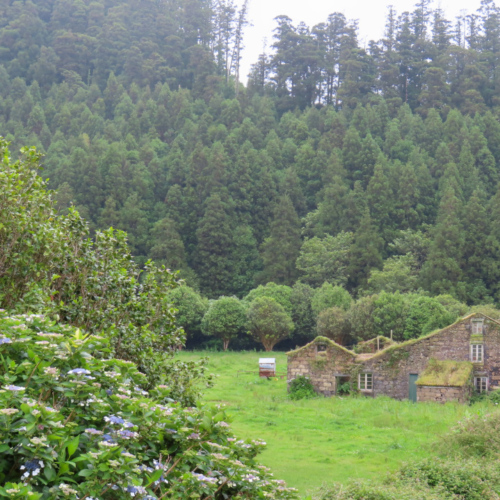 Les Açores São Miguel Sete Cidades Les Açores São Miguel Sete Cidades