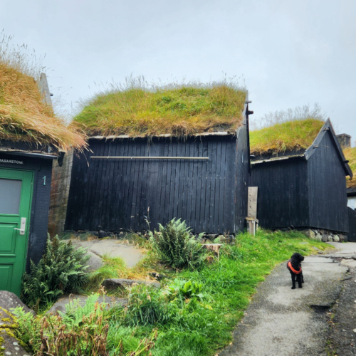 Îles Féroé Tórshavn. Quartier historique. Îles Féroé Tórshavn. Quartier historique.