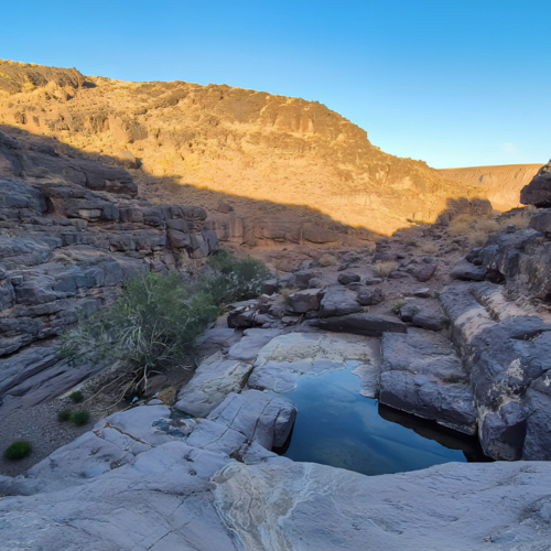 Un filet d'eau, une petite mare avec des grenouilles. Maroc Djebel Saghro trek jour 2
