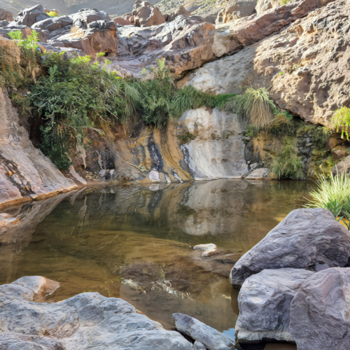 Une source en fond de vallon. Maroc Djebel Saghro trek jour 4