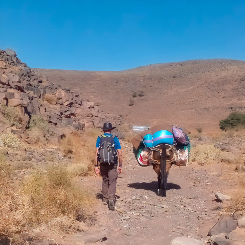 Maroc Djebel Saghro, sur les sentiers. Maroc Djebel Saghro trek jour1