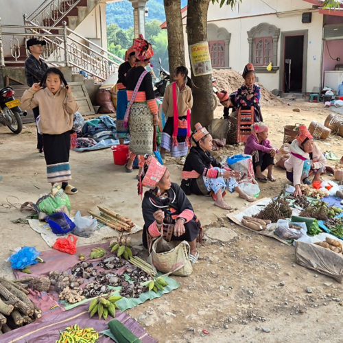Notre trajet de Booneua à Muang Khua.
Marché à Pak Nam Noy. Paysannes en vêtements traditionnels. Notre trajet de Booneua à Muang Khua