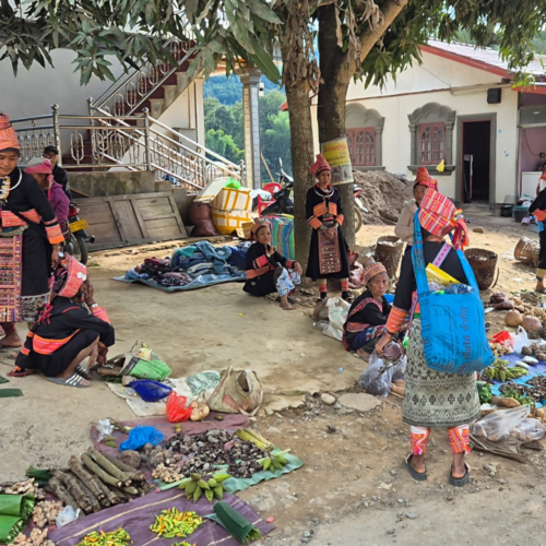 Notre trajet de Booneua à Muang Khua.
Marché à Pak Nam Noy. Paysannes en vêtements traditionnels. Notre trajet de Booneua à Muang Khua