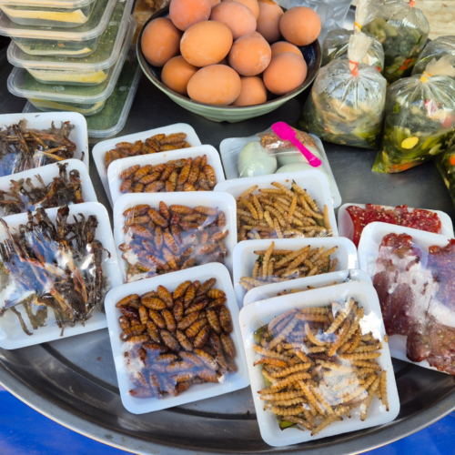 Notre trajet de Booneua à Muang Khua.
Marché à Pak Nam Noy. Insectes, larves, vers. Notre trajet de Booneua à Muang Khua