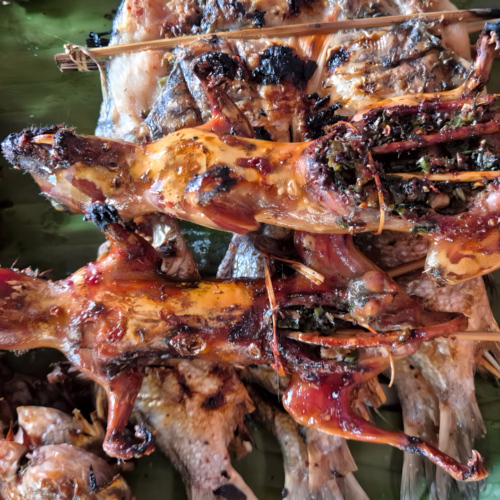 Notre trajet de Booneua à Muang Khua.
Marché à Pak Nam Noy. Du rat en brochette. Notre trajet de Booneua à Muang Khua