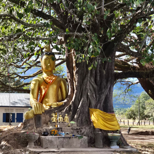 Laos Champassak. Laos Champassak
