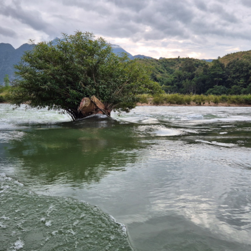 Laos Muang Khua à Muang Ngoi Neua.
Navigation après le barrage, beaucoup de courant. Laos Muang Khua à Muang Ngoi Neua
