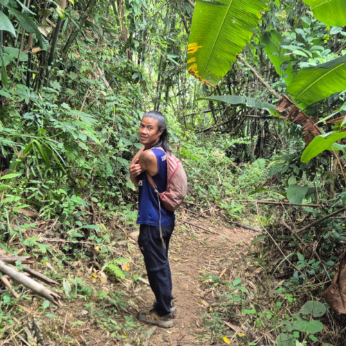 Laos Muang Ngoi Neua trek dans la jungle Laos Muang Ngoi Neua trek dans la jungle