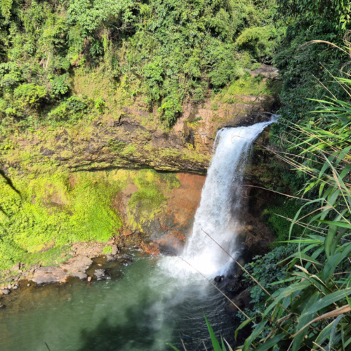 Laos, Plateau des Bolavens, la Cascade Tad E-tu. Laos Bolavens Cascade Tad E-tu
