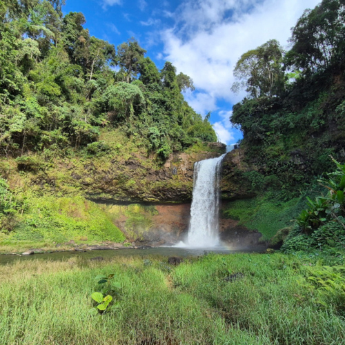Laos, Plateau des Bolavens, la Cascade Tad E-tu. Laos Bolavens Cascade Tad E-tu