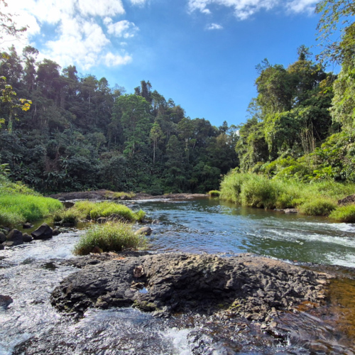 Laos, Plateau des Bolavens, la Cascade Tad E-tu. Laos Bolavens Cascade Tad E-tu