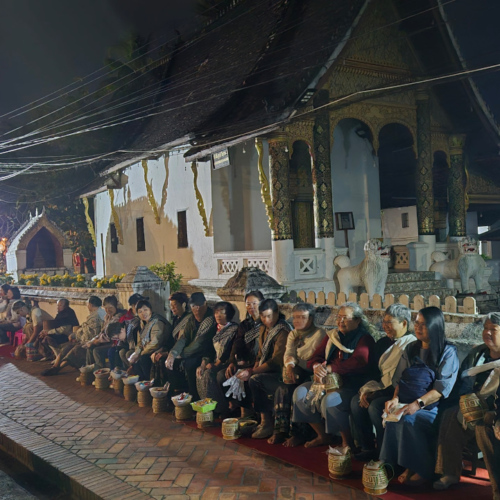 lLaos Tak Bat de Luang Prabang.
Des dizaines de touristes chinois alignés, au spectacle. Laos Tak Bat de Luang Prabang