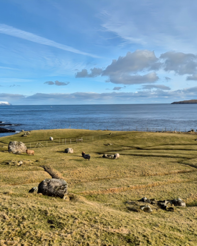Îles Féroé vol hélico de Tórshavn à Suðuroy
Le long de la rocade extérieure, les pâturages Îles Féroé vol hélico de Tórshavn à Suðuroy