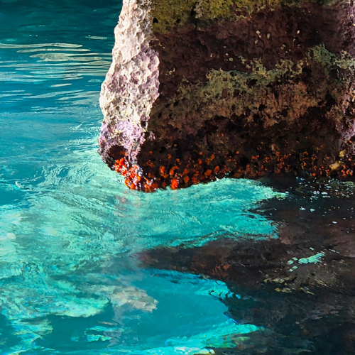 Malte Les Grottes Bleues Malte Les Grottes Bleues