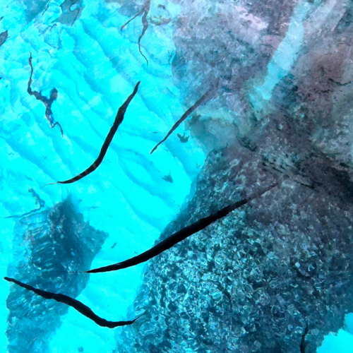 Malte Les Grottes Bleues Malte Les Grottes Bleues