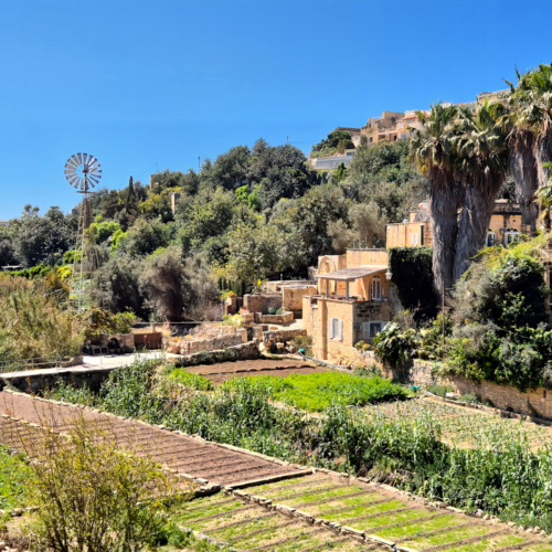 Gozo La Vallé de Tal Lunzjata Gozo Vallé Tal Lunzjata