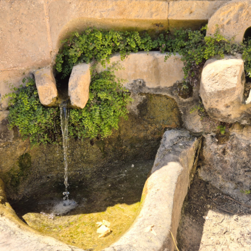 Gozo La Vallé de Tal Lunzjata Gozo Vallé Tal Lunzjata