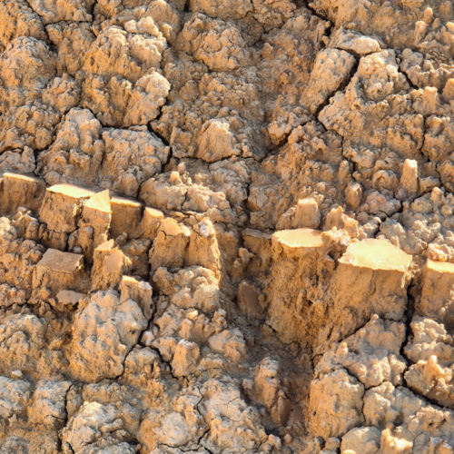 Bardenas Reales. Couche de gypse en fines lamelles. Bardenas Reales