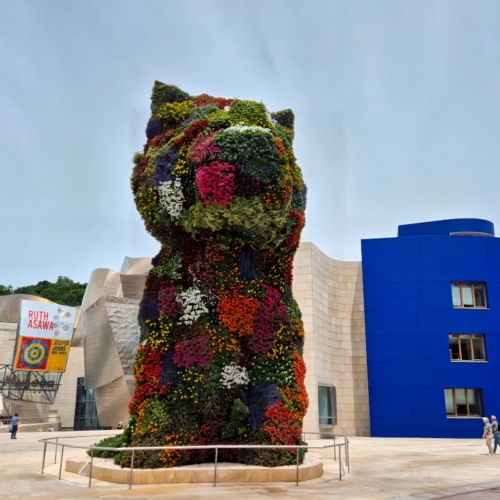 Musée Guggenheim, Jeff Koons, Puppy. Musée Guggenheim Jeff Koons