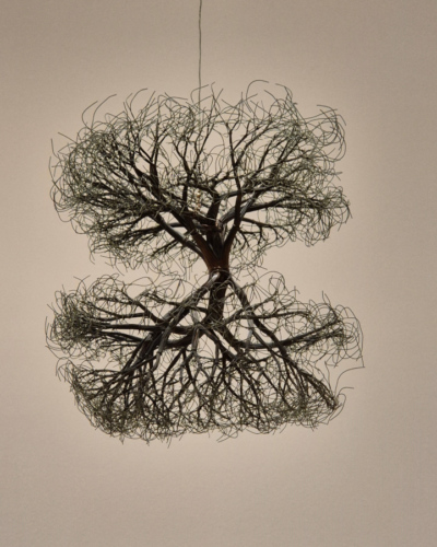 Musée Guggenheim Ruth Asawa Musée Guggenheim Ruth Asawa