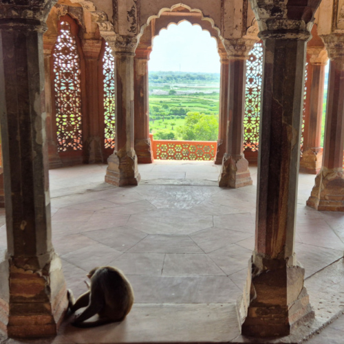 Inde Agra Fort Rouge Inde Agra Fort Rouge