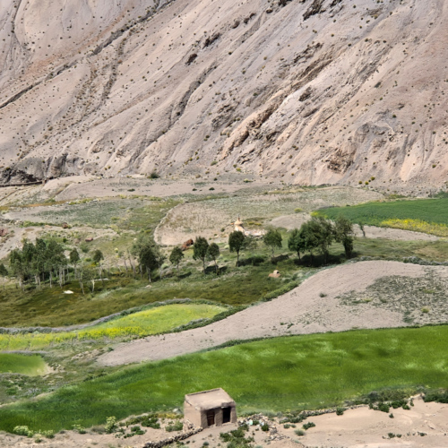 Inde Ladakh monastère Atitse Inde Ladakh monastère Atitse