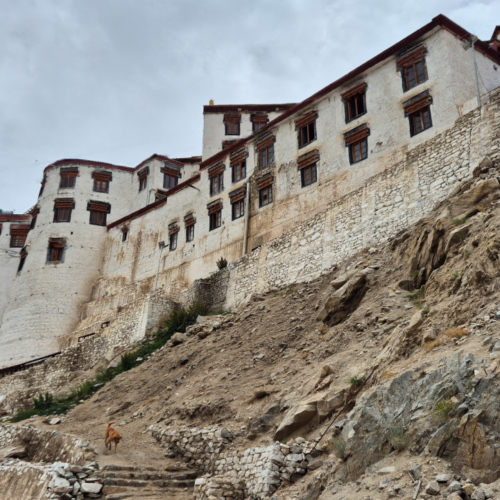 Inde Ladakh Monastère de Chemrey