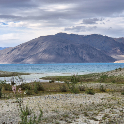 Inde Ladakh Lac Pangong