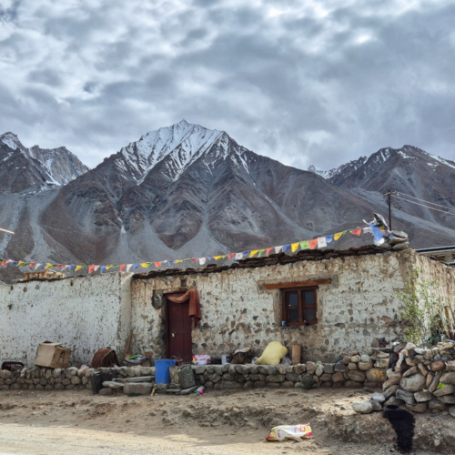 Inde Ladakh Lac Pangong Man