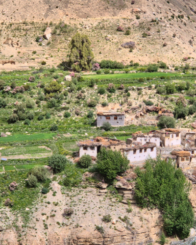 Inde Ladakh monastère de Phuktal