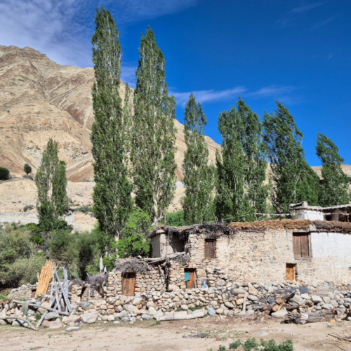 Inde Ladakh Saspochey Hemis Sushpachan Inde Ladakh Saspochey