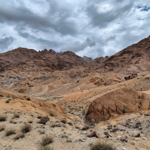 Inde Ladakh Saspochey Hemis Sushpachan Inde Ladakh Saspochey Hemis Sushpachan