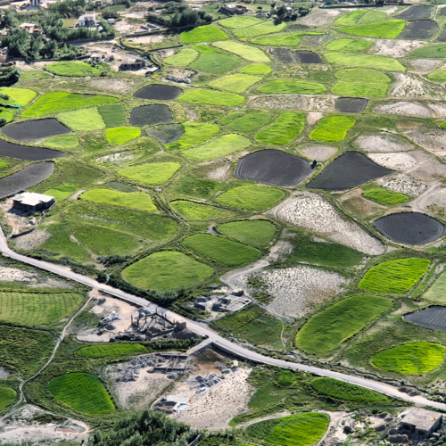 Inde Ladakh Stongay
