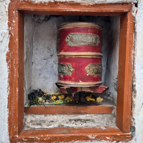 Inde Ladakh Yangthang Inde Ladakh Yangthang