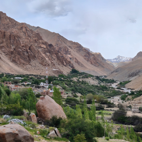 Inde Ladakh Yangthang Inde Ladakh Yangthang